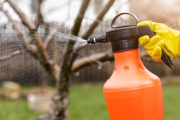 Spraying Trees Against Pests Aphids Diseases with Pump Sprayer in Spring or Autumn. Spraying Plants...