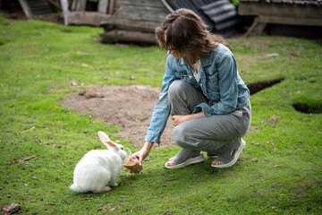 A girl feeding white rabbit with grain from a plastic cup on farm