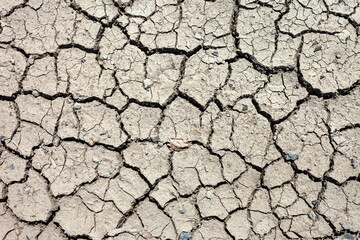 Dry cracked gray soil, spring view