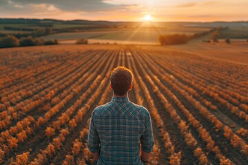 Fototapeta premium A farmer on an agricultural field Standing on farmland against the beautiful evening sunset sun, back view