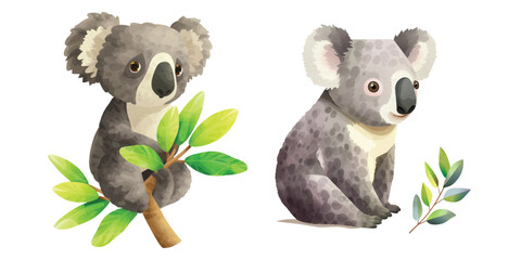 cute koala watercolour vector illustration © Finkha