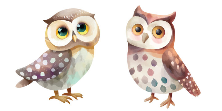 cute owl watercolour vector illustration