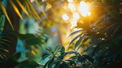 Sun shining through the leaves of a lush green plant, creating a beautiful natural background. - obrazy, fototapety, plakaty