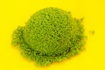 Wolffia globosa or swamp algae, water meal