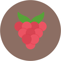 Raspberry Icon