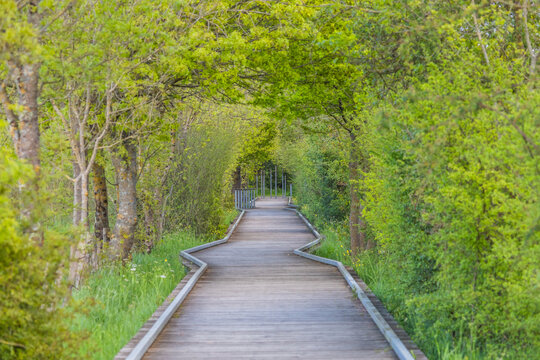 Ponton de bois marais nantes