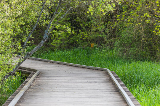 Ponton de bois marais nantes
