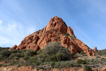 Fototapeta premium Rocher au couleur d'ocre dans l 'Estérel