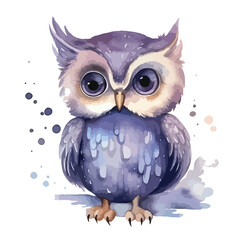 Fairytale Owl Watercolor Clipart  isolated on white