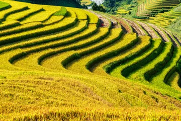 Papier Peint photo Mu Cang Chai Rice fields on terraced of Mu Cang Chai, YenBai, Vietnam.