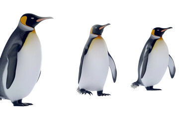 Fototapeta premium Penguins and Their Snowy Habitat Isolated On Transparent Background