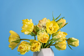 Mothers day, Greeting card. Congratulations concept, March 8. Sunlit Yellow Tulips in Vase. Close-up of vibrant yellow tulips bathed in soft natural light, emanating freshness and spring vibes. - 746448291