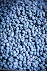 bilberry blueberry health benefits Lastly, bilberries contain high amounts of vitamins 