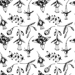 Vector fuchsia flowers seamless pattern. Hand drawn fuchsia flowers pattern on white background - obrazy, fototapety, plakaty
