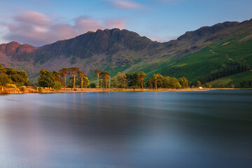Golden sunlight on row of Scots Pine tree on the shoreline of Buttermere in The Lake District, UK. - 746454440
