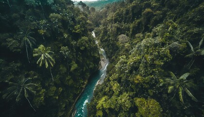 東南アジアの熱帯雨林 - obrazy, fototapety, plakaty