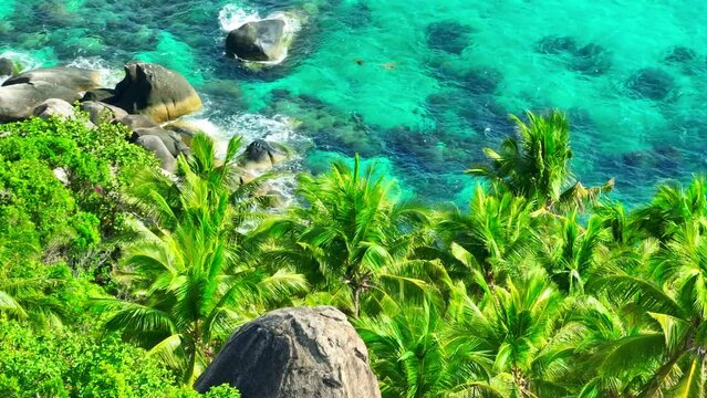 
Breathtaking drone shot showcases endless coconut trees against a backdrop of vibrant turquoise ocean waves. Cinematic footage. Ko Tao, Surat Thani, Southern Thailand. Tropical sea background. 4K UHD