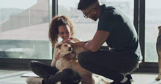 Love, animal shelter and couple with dog in pet kennel for foster, rehabilitation or adoption choice. Happy, rescue and people smile with stray puppy decision at pound with care, support or kindness