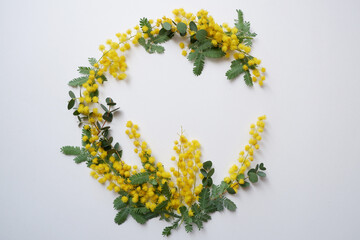 Obraz premium Beautiful mimosa flower wreath. Botanical decoration elements. Mimosa flower decoration for Women's day.