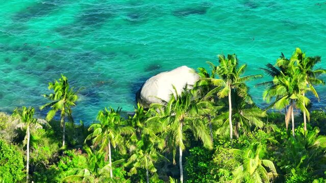 Drone captures endless coconut trees against the backdrop of azure seas on a paradisiacal island. Cinematic footage. Tao island, Surat Thani, Southern Thailand. Tropical sea background. 4K HDR.
