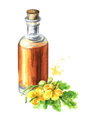 Celandine cosmetic oil, Sap, tincture,  flower, herbal medicine, medical plant. Hand drawn watercolor illustration isolated on  white  background