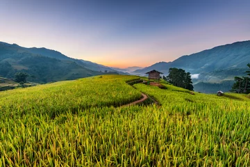 Photo sur Plexiglas Mu Cang Chai Rice fields on terraced of Mu Cang Chai, YenBai, Vietnam.