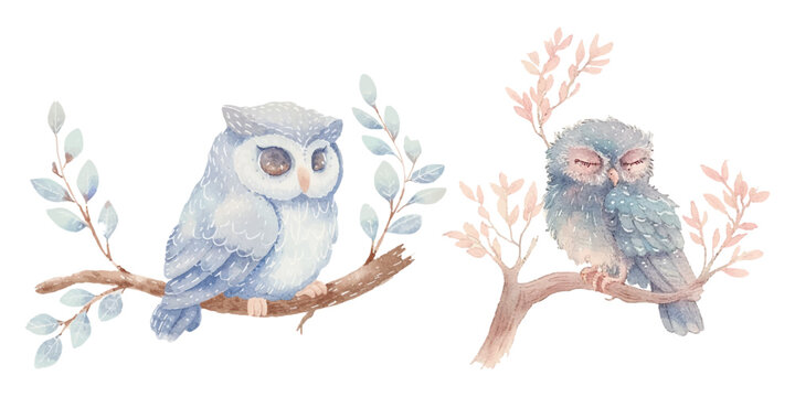 cute owl soft watercolour vector illustration 