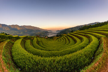 Rice fields on terraced of Mu Cang Chai, YenBai, Vietnam.