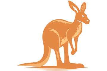 kangaroo vector  illustration