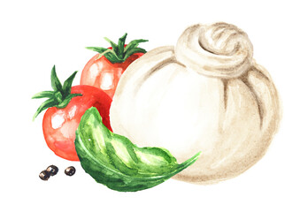 Burrata soft cheese with tomatoes and basil. Hand drawn watercolor  illustration  isolated on white background