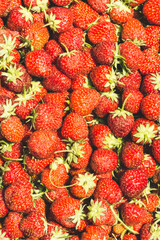 Red juicy strawberries at the Siab bazaar in the ancient city of Samarkand in Uzbekistan, Siyob bozor