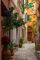Fototapeta na wymiar the beautiful narrow alley/street with plants and colorful house in Cinque Terre, Italy