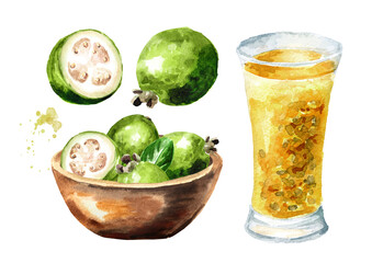 Bowl with fresh Feijoa fruits and Glass of juice set, Watercolor hand drawn illustration isolated on white background
