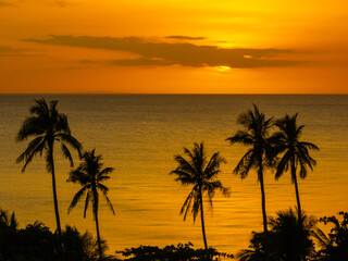 Fototapeta na wymiar Cloudy sunset over the sea. Coconut trees in Santa Fe, Tablas, Romblon. Philippines.