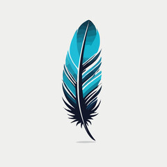 Colorful feather illustration
