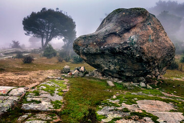Granite rocks, pines and fog