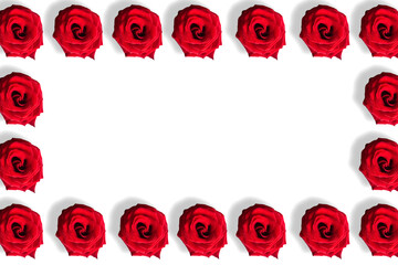 Seamless pattern of red roses isolated on white background. Copy space for the text