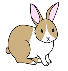 茶色と白の模様のウサギのイラスト