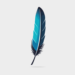 Colorful feather illustration
