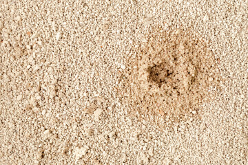 Cat litter background texture. Sand for pets toilet