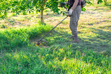 A farmer mows grass with a petrol mower in the garden on a summer day. Seasonal work in the garden