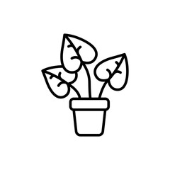 House plant outline icons, minimalist vector illustration ,simple transparent graphic element .Isolated on white background