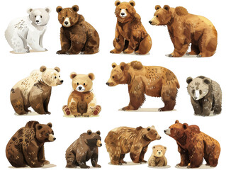 Set of various cute cartoon bears in different poses, suitable for children's books, educational materials, and character design. transparent background
