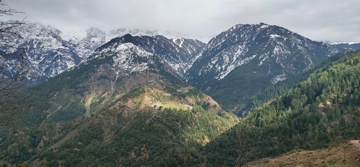 Verdant Valleys Snowy Summits Indian Peaks