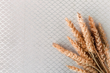 Bunch of wheat ears on silver background. Agriculture concept in minimalism style. Copy space for...