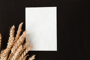 Bunch of wheat ears and white mockup blank on rich black background. Agriculture concept in...