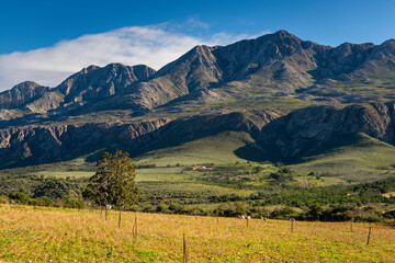 Farm in the Karoo with old rural houses and the swartberg mountains in south africa,