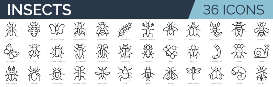 Set of 36 outline icons related to insects. Linear icon collection. Editable stroke. Vector illustration