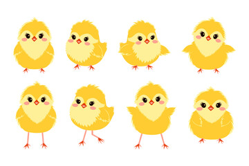 Collection of cute cartoon chicks. Eight adorable illustrated yellow chicks on a white background, perfect for easter designs. Spring poultry babies in different poses. Vector illustration.