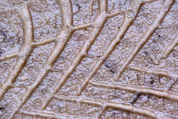 Texture of wet sand with Wheel track background. selective focus